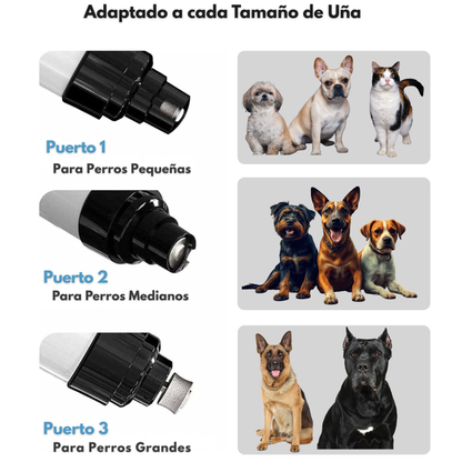 FurNail™ Lima las uñas de tu perro sin estrés